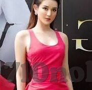 探索半岛官网入口，开启多元信息与服务的便捷之门